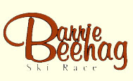 beehag logo with web background copy